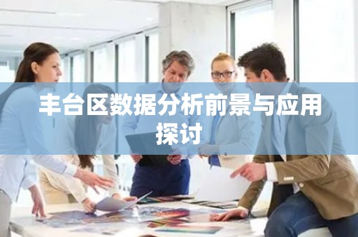 丰台区数据分析前景与应用探讨