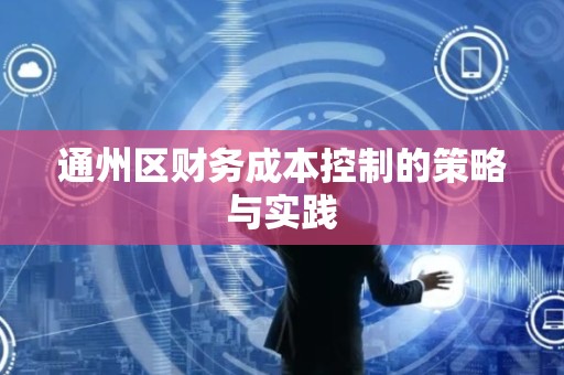 通州区财务成本控制的策略与实践
