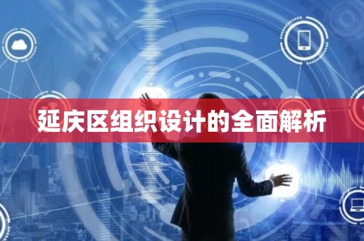延庆区组织设计的全面解析