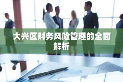 大兴区财务风险管理的全面解析