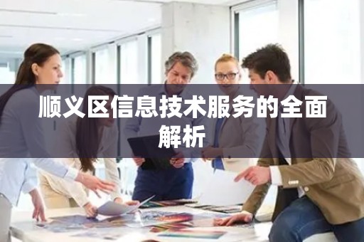 顺义区信息技术服务的全面解析