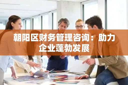 朝阳区财务管理咨询：助力企业蓬勃发展