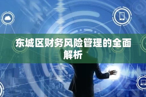 顺义区财务风险管理的全面解析