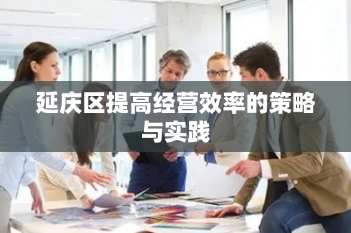 延庆区提高经营效率的策略与实践