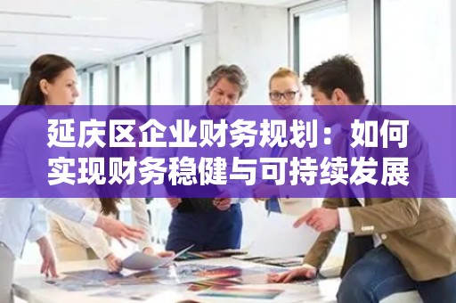 延庆区企业财务规划：如何实现财务稳健与可持续发展