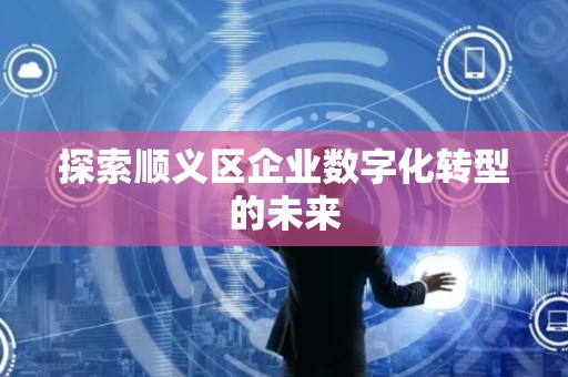 探索顺义区企业数字化转型的未来
