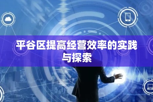 平谷区提高经营效率的实践与探索