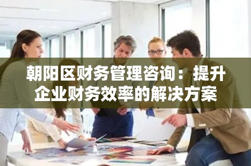 朝阳区财务管理咨询：提升企业财务效率的解决方案