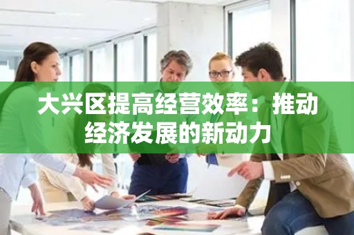 大兴区提高经营效率：推动经济发展的新动力