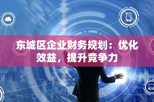 顺义区企业财务规划：优化效益，提升竞争力