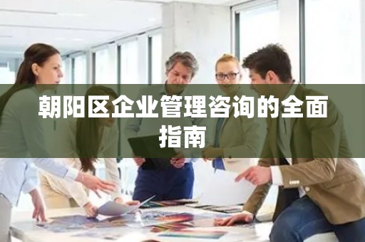 朝阳区企业管理咨询的全面指南