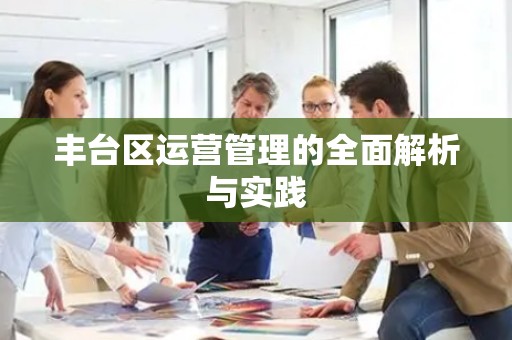 丰台区运营管理的全面解析与实践