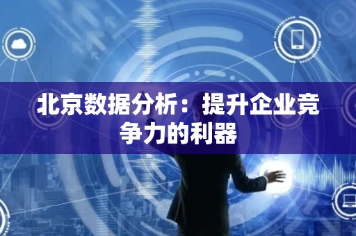 北京数据分析：提升企业竞争力的利器
