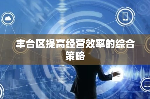 丰台区提高经营效率的综合策略