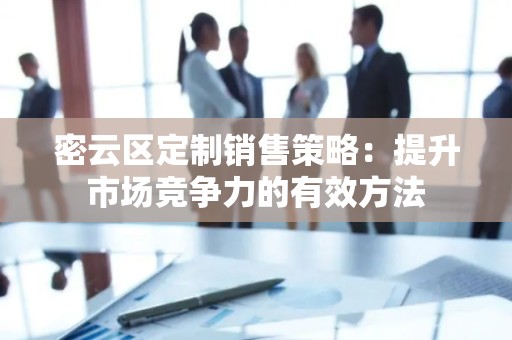 密云区定制销售策略：提升市场竞争力的有效方法
