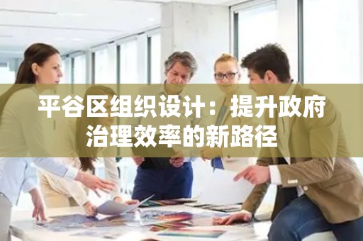 平谷区组织设计：提升政府治理效率的新路径