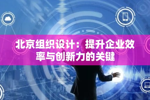 北京组织设计：提升企业效率与创新力的关键