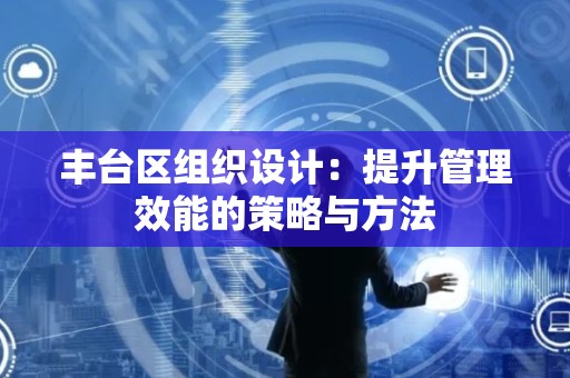丰台区组织设计：提升管理效能的策略与方法