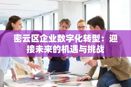 密云区企业数字化转型：迎接未来的机遇与挑战