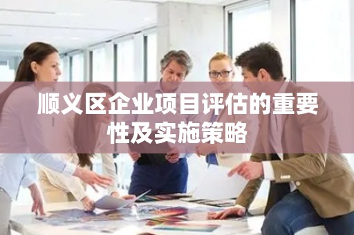 顺义区企业项目评估的重要性及实施策略