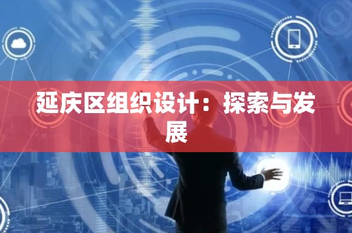 延庆区组织设计：探索与发展