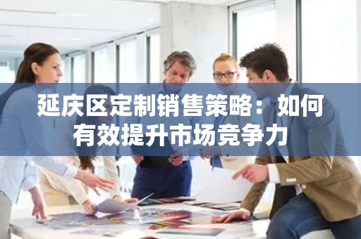 延庆区定制销售策略：如何有效提升市场竞争力
