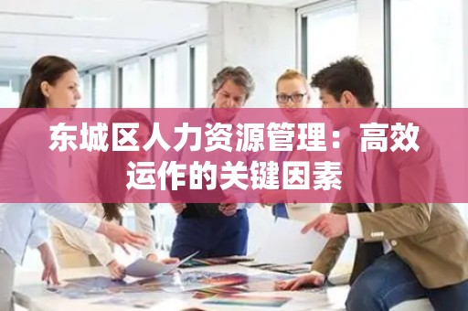 顺义区人力资源管理：高效运作的关键因素