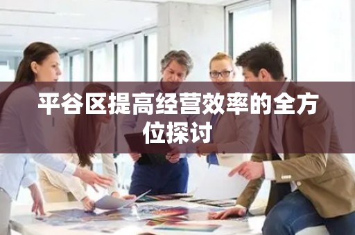平谷区提高经营效率的全方位探讨