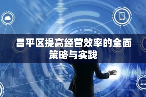 昌平区提高经营效率的全面策略与实践