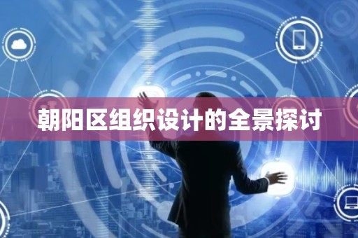 朝阳区组织设计的全景探讨