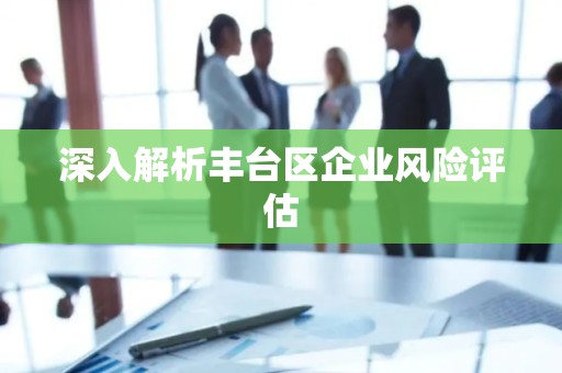 深入解析丰台区企业风险评估