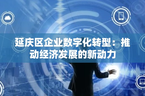 延庆区企业数字化转型：推动经济发展的新动力