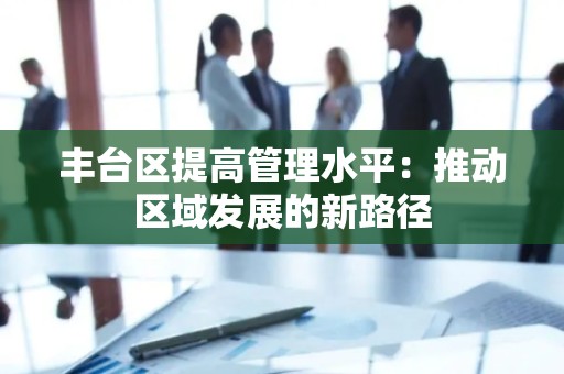 丰台区提高管理水平：推动区域发展的新路径