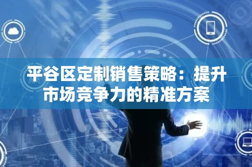 平谷区定制销售策略：提升市场竞争力的精准方案
