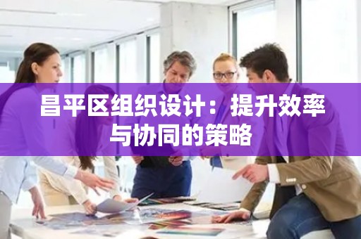 昌平区组织设计：提升效率与协同的策略