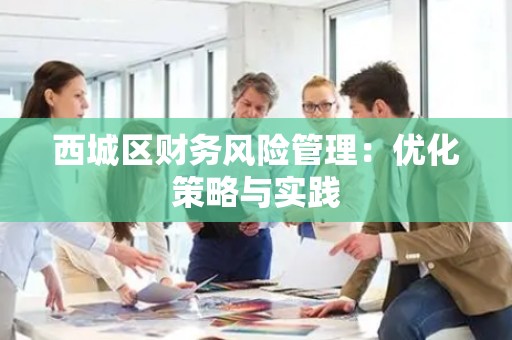 西城区财务风险管理：优化策略与实践