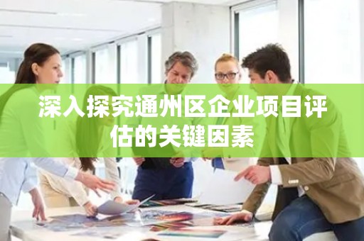 深入探究通州区企业项目评估的关键因素