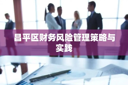 昌平区财务风险管理策略与实践
