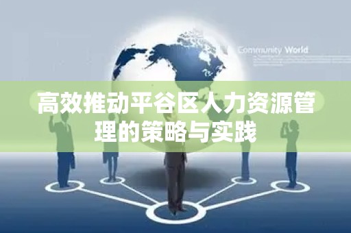 高效推动平谷区人力资源管理的策略与实践