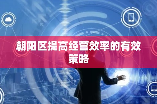 朝阳区提高经营效率的有效策略