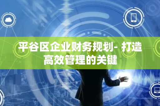 平谷区企业财务规划- 打造高效管理的关键