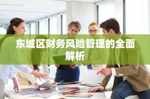 顺义区财务风险管理的全面解析