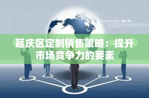 延庆区定制销售策略：提升市场竞争力的要素