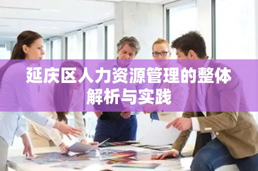 延庆区人力资源管理的整体解析与实践